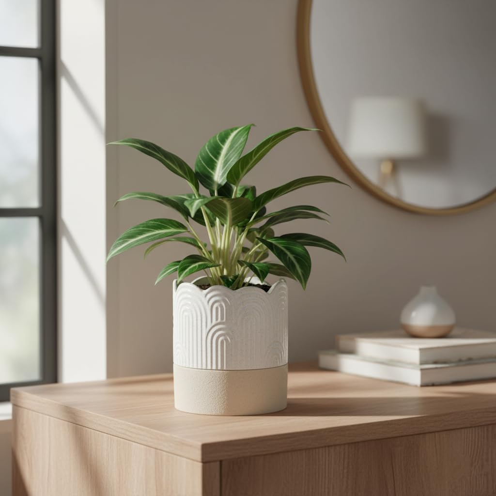 Self-watering ceramic planter - Image 2