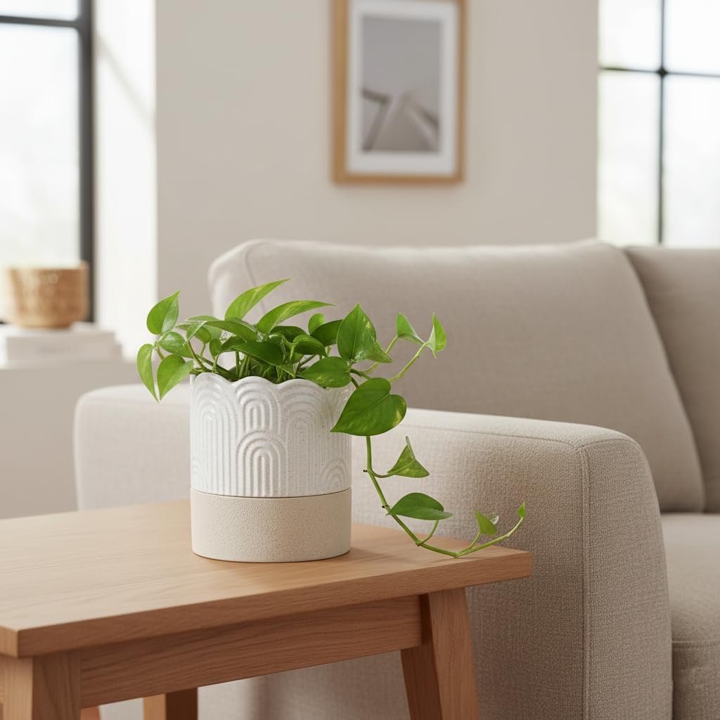 Self-watering ceramic planter