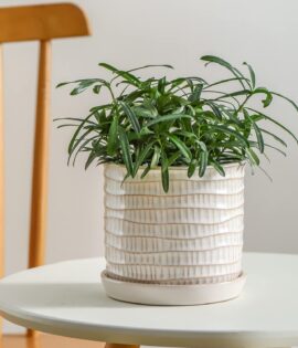 Planter with integrated drainage saucer