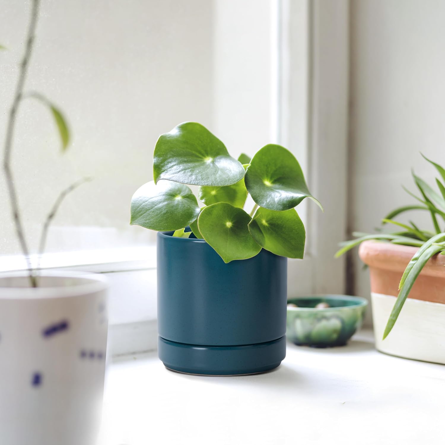 Small ceramic planter - Image 2