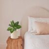Indoor terracotta planter