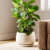 Reactive glaze ceramic planter