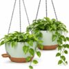 Self-watering hanging planter