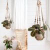 Hand-woven plant hanger