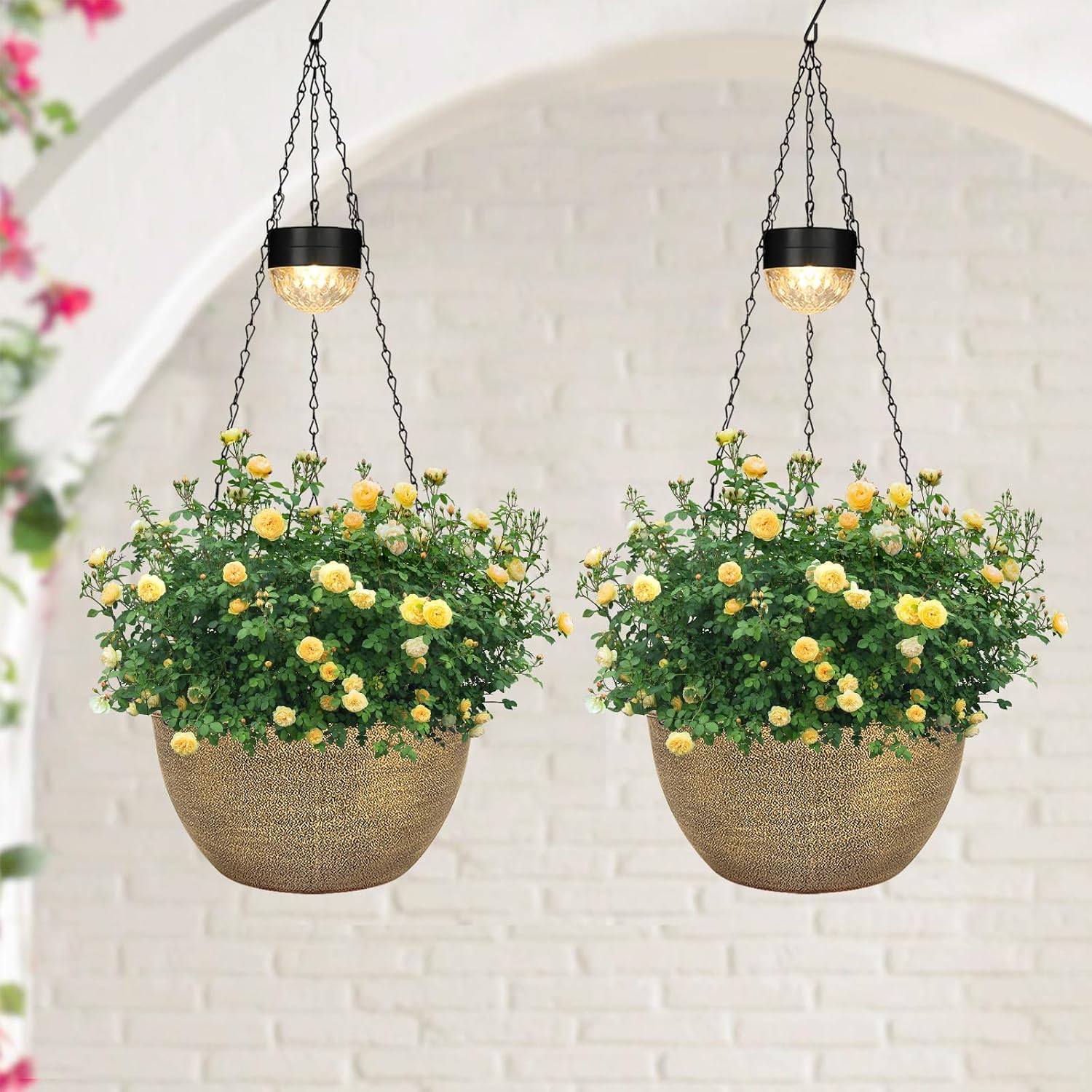 Solar-powered hanging planter