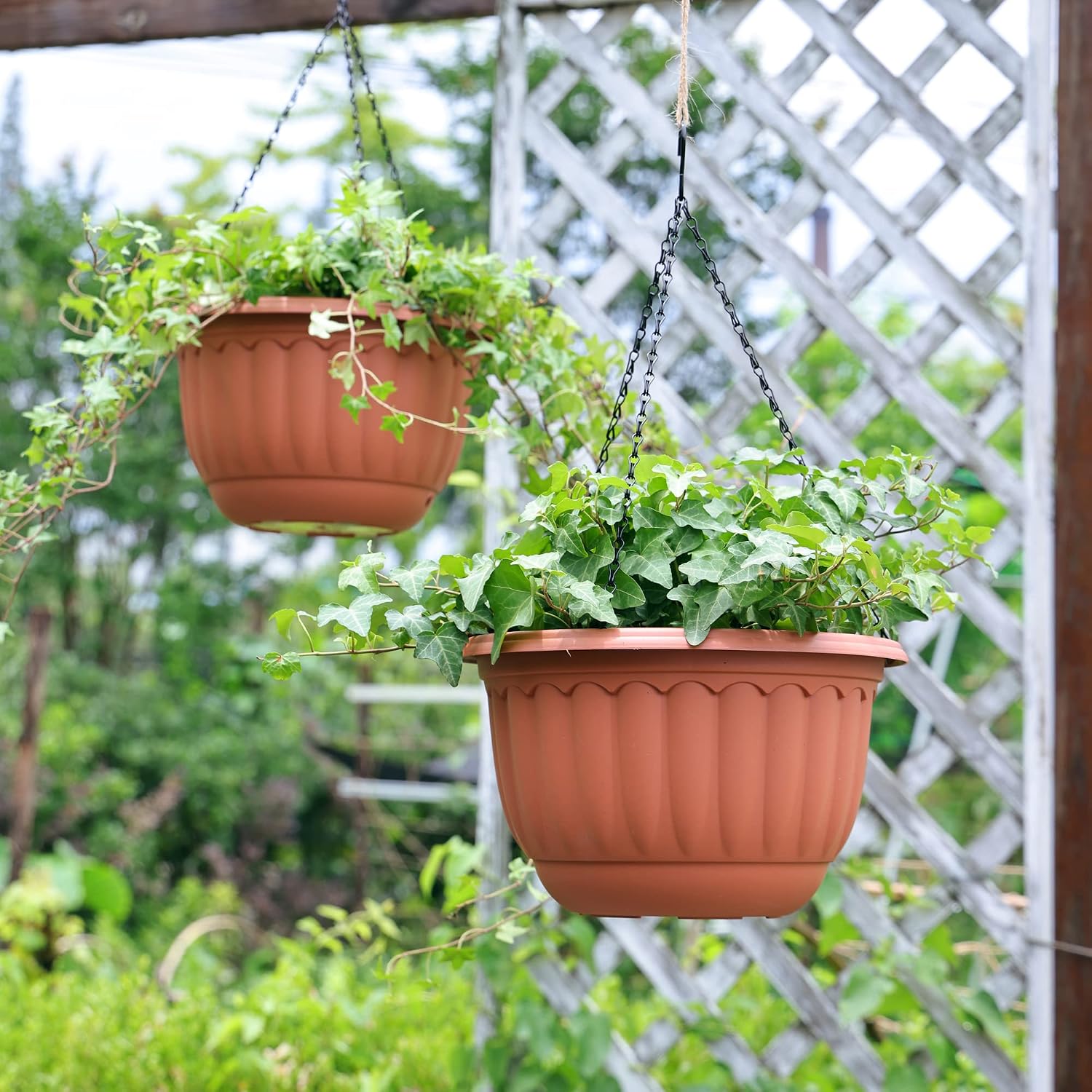 Plastic hanging planter - Image 2