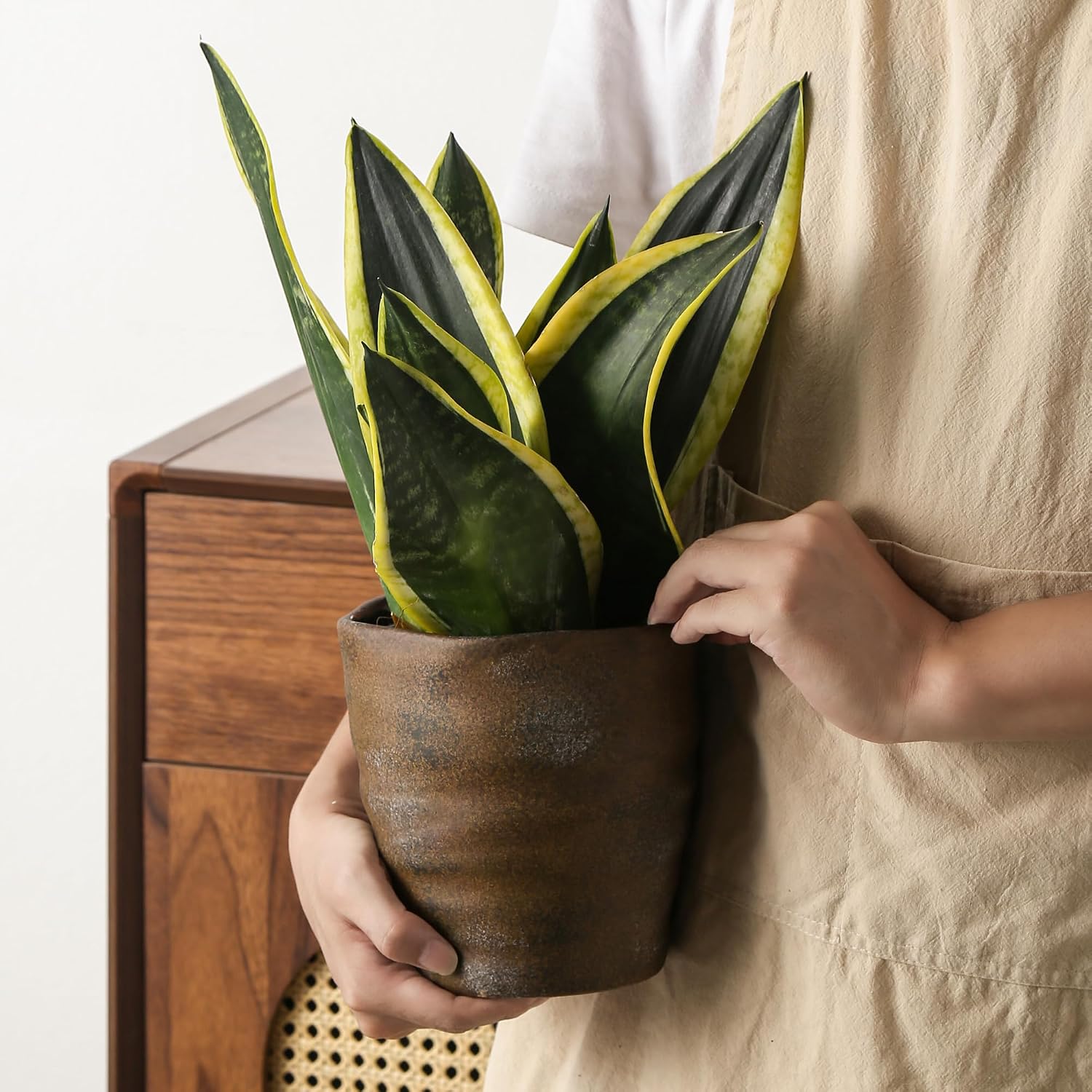 Ceramic planter set